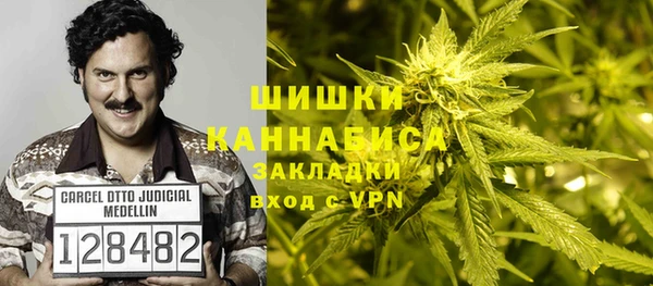 трава Пересвет