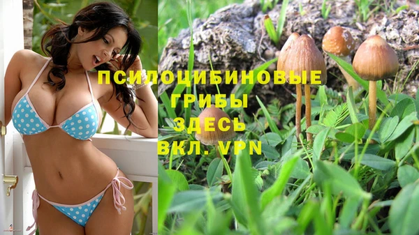 кокаин премиум Краснослободск
