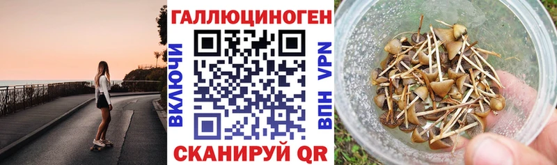 купить  цена  Новотитаровская  omg рабочий сайт  Галлюциногенные грибы прущие грибы 